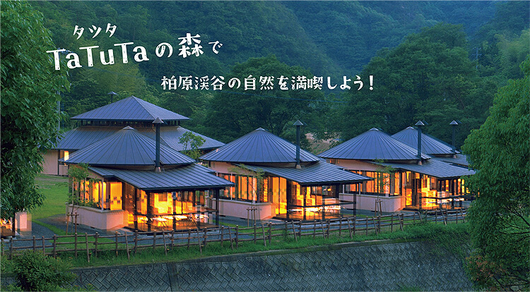 TaTuTaの森で柏原渓谷の自然を満喫しよう！