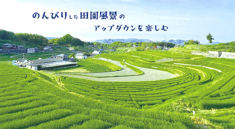 のんびりした田園風景のアップダウンを楽しむ