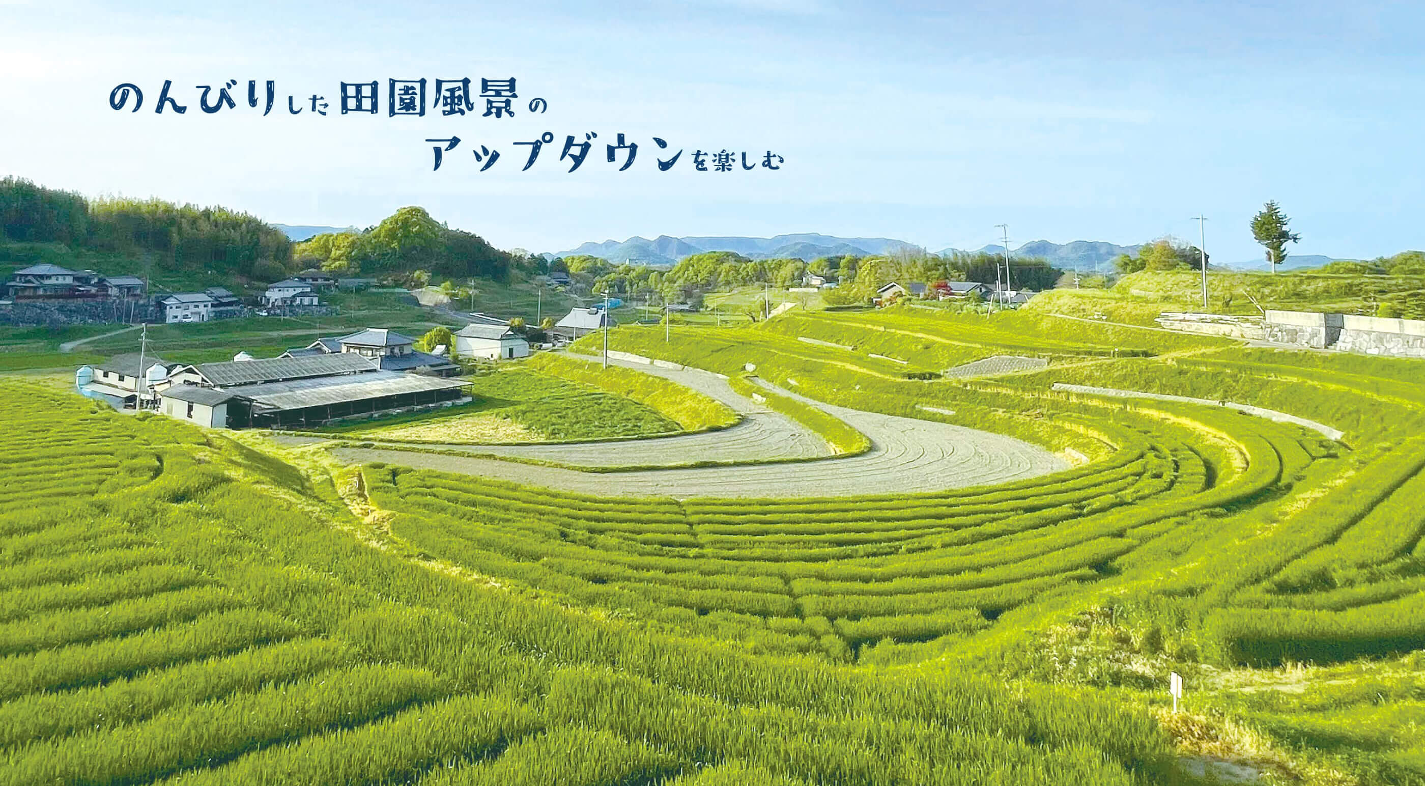 のんびりした田園風景のアップダウンを楽しむ