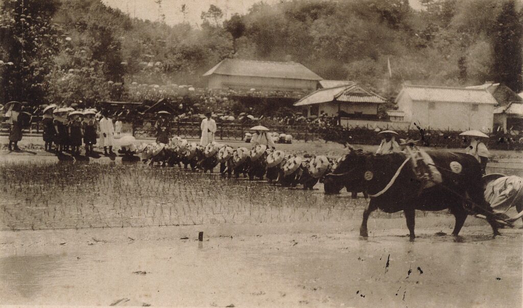 主基斎田お田植まつり