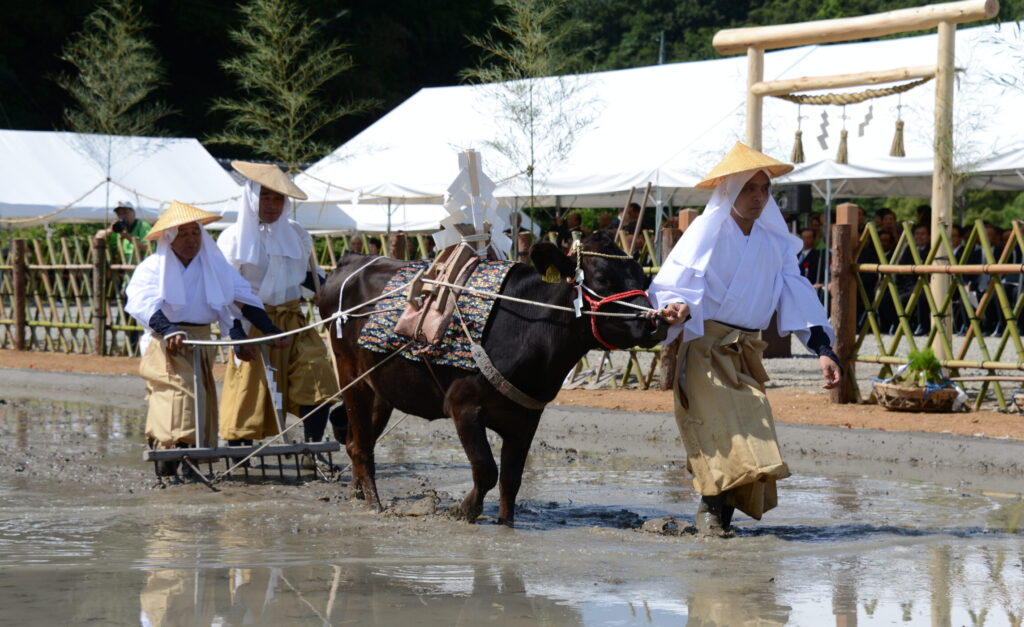 主基斎田お田植まつり