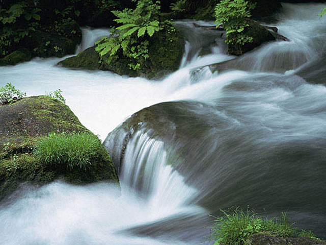 柏原渓谷キャンプ村　TaTuTaの森
